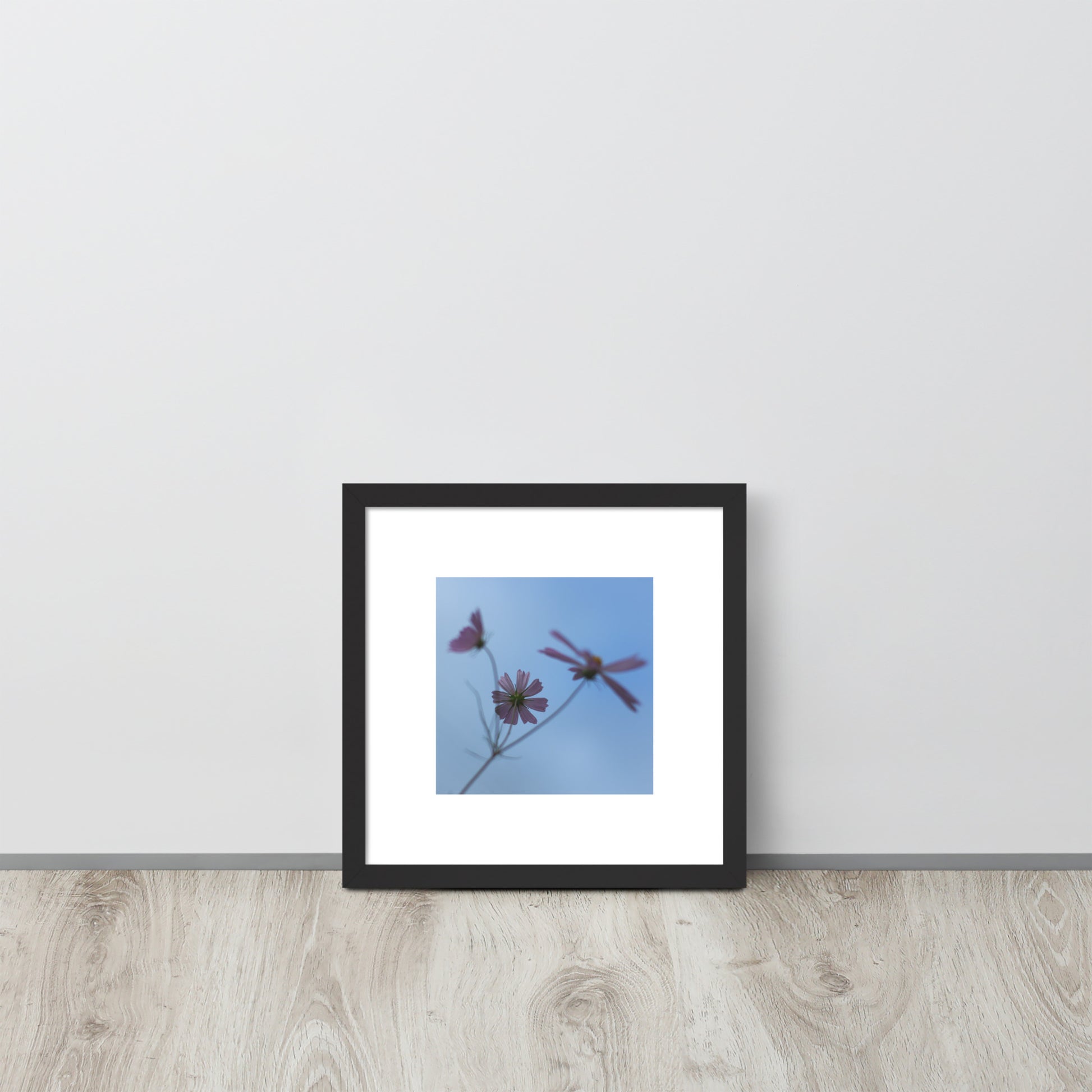 Three Cosmos Flowers Botanical Art – Framed Matte Paper Poster, Black Frame, Front View