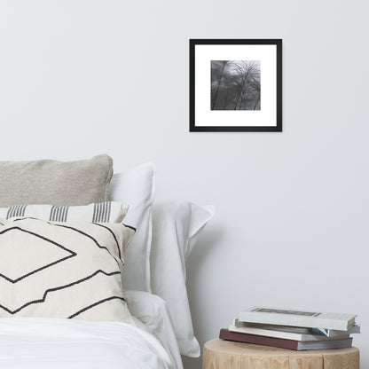 Silver Grass Cluster Botanical B&W Art – Framed Matte Paper Poster, Black Frame, Front View