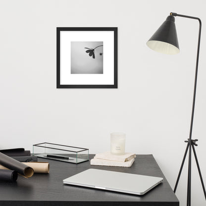 Cosmos Flower Botanical B&W Art – Framed Matte Paper Poster, Black Frame, Front View