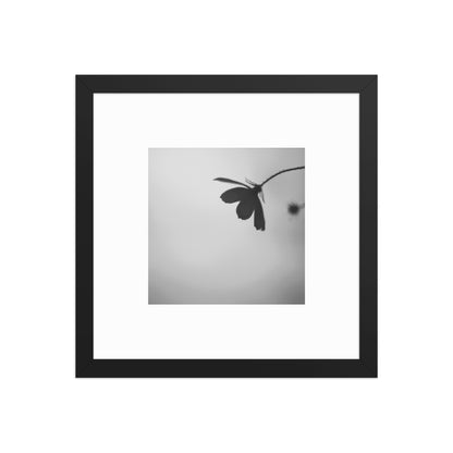 Cosmos Flower Botanical B&W Art – Framed Matte Paper Poster, Black Frame, Front View
