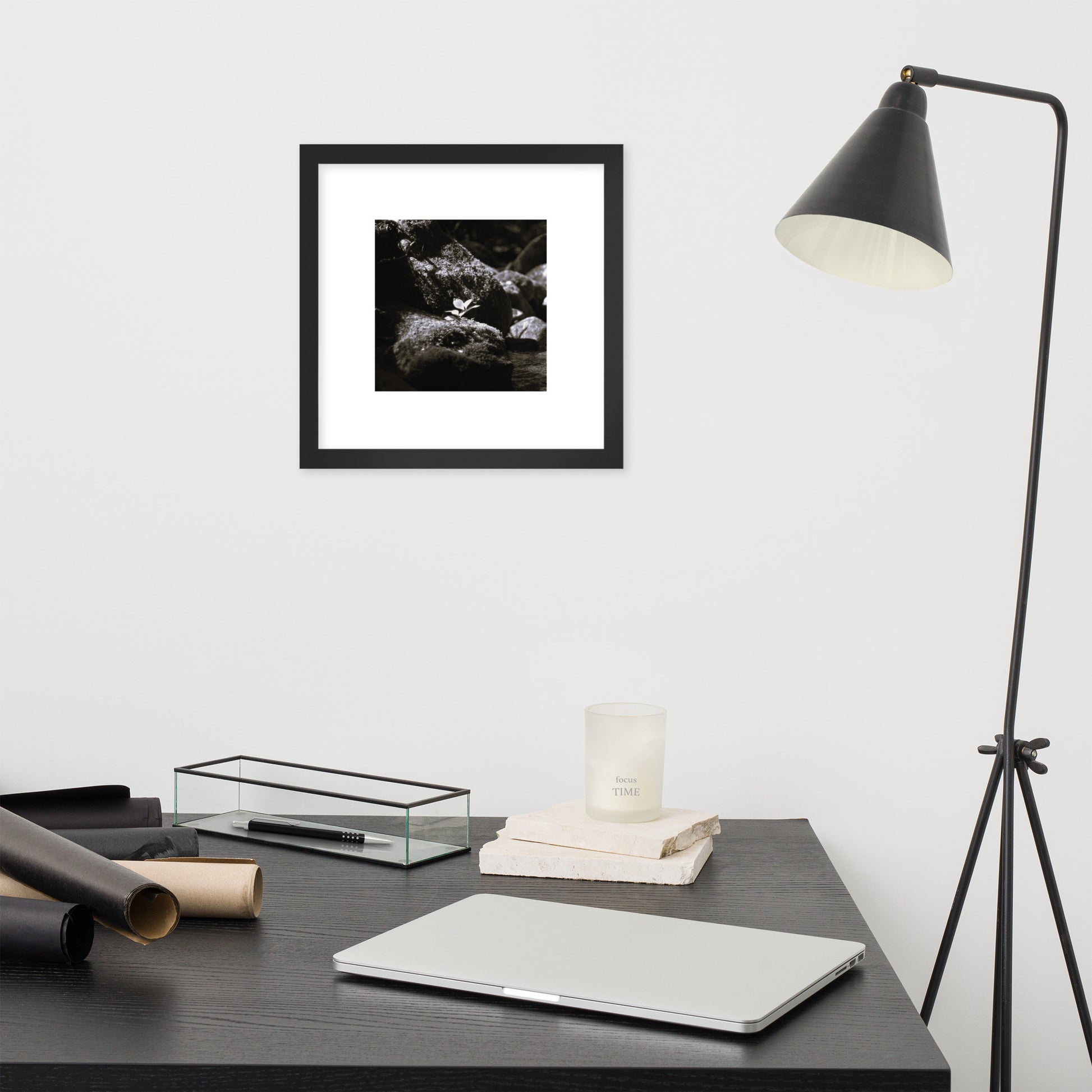 Plant on a Rock (B&W) Art – Framed Matte Paper Poster, Black Frame, Lifestyle View