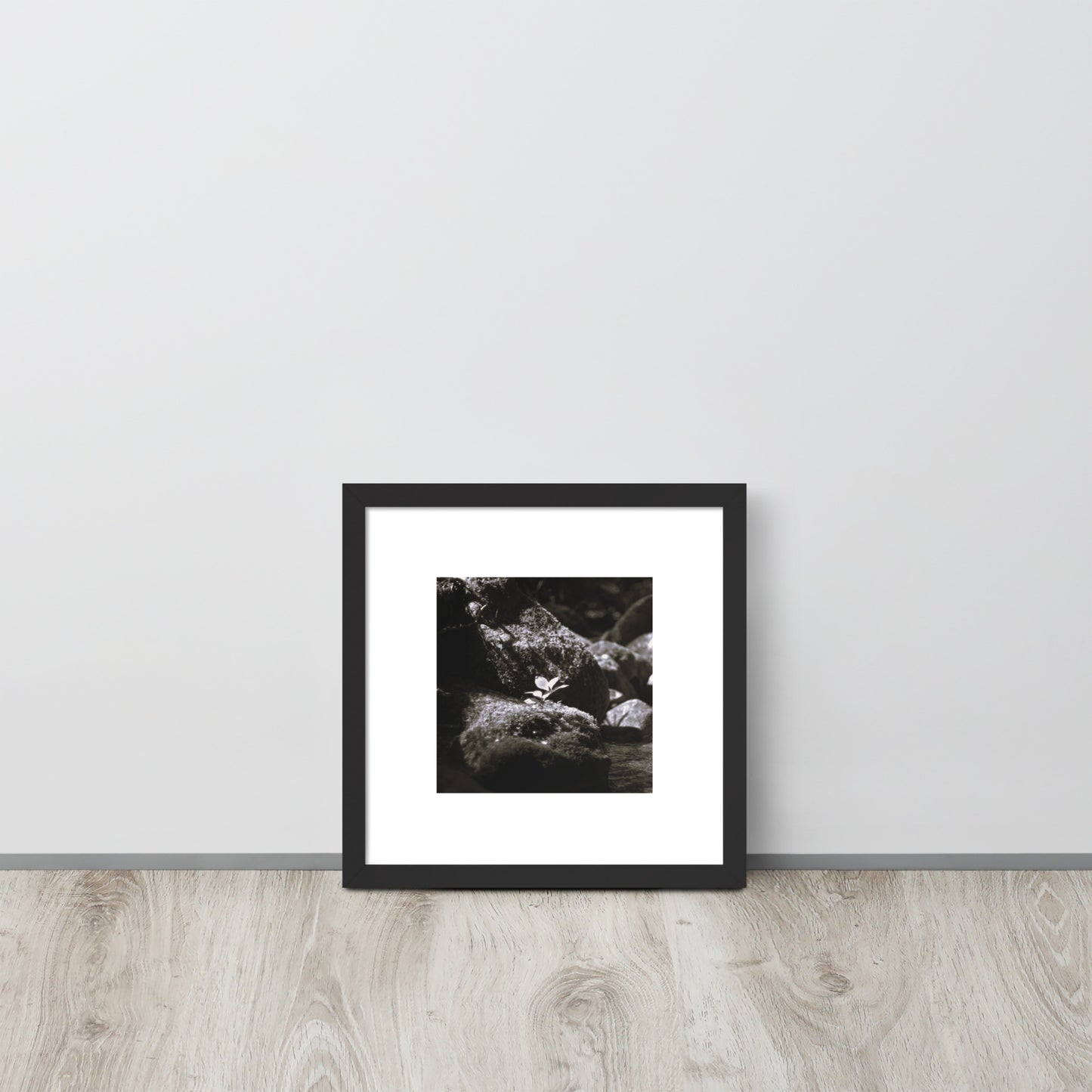 Plant on a Rock (B&W) Art – Framed Matte Paper Poster, Black Frame, Lifestyle View