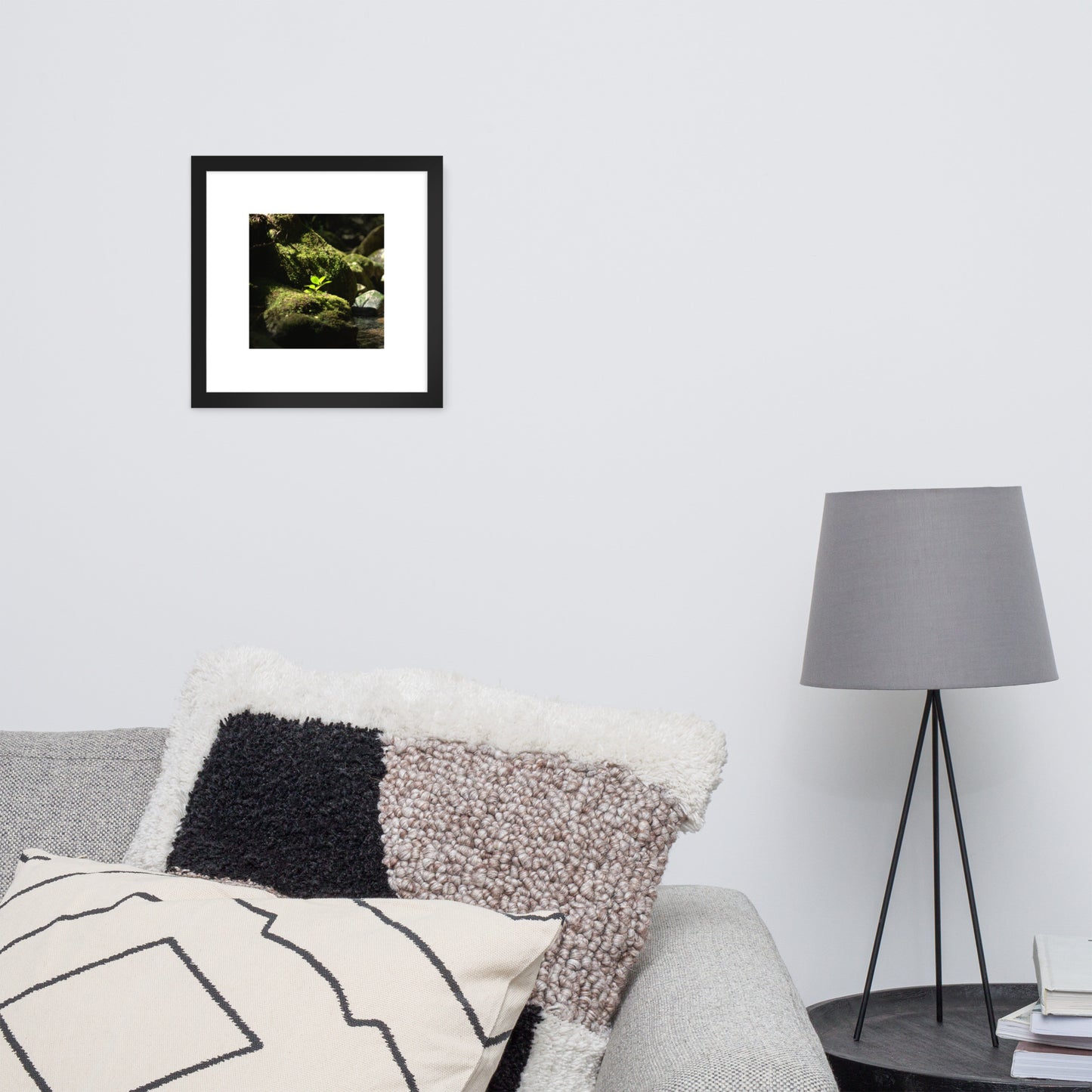 Plant on a Rock Art – Framed Matte Paper Poster, Black Frame, Lifestyle View