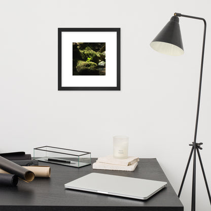 Plant on a Rock Art – Framed Matte Paper Poster, Black Frame, Lifestyle View