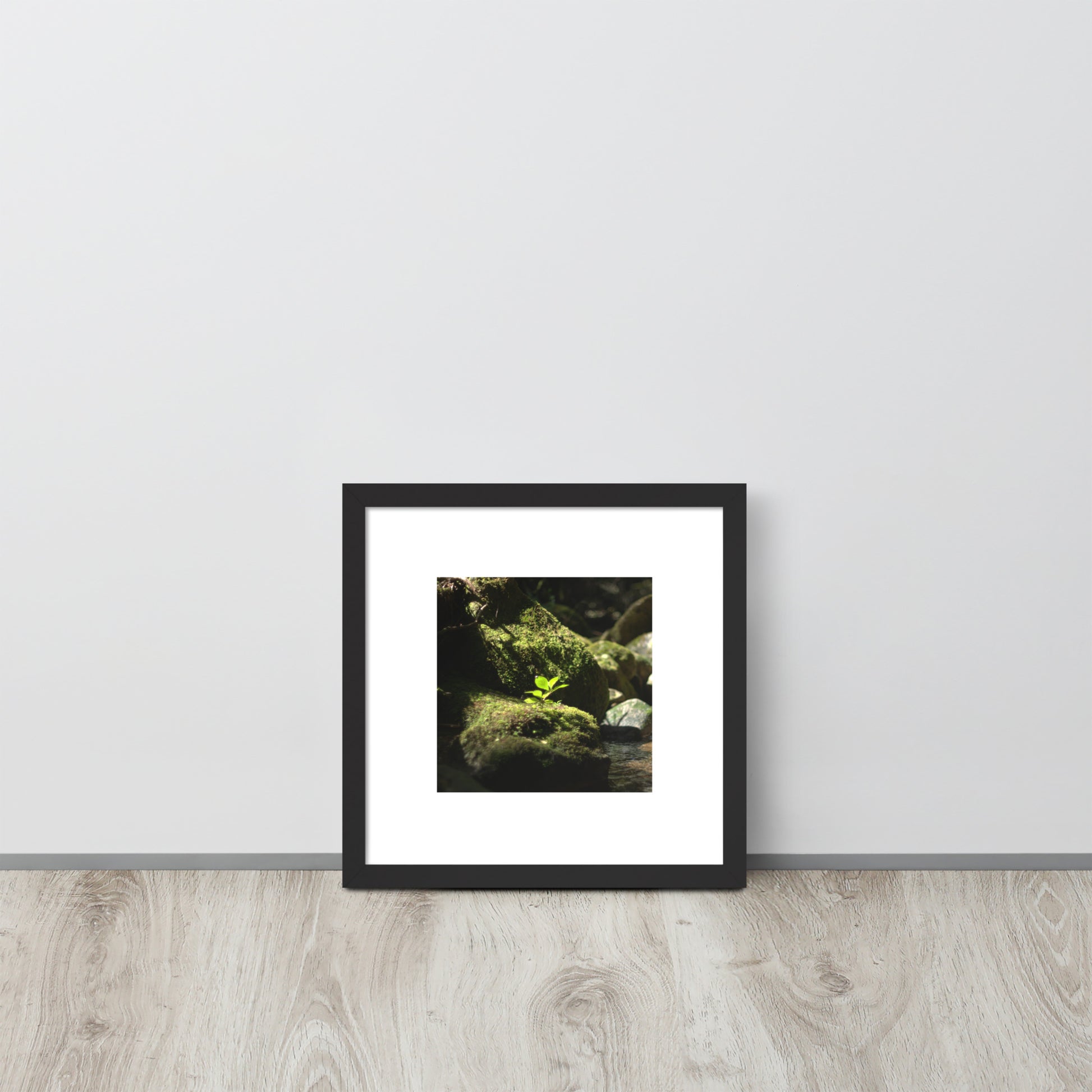 Plant on a Rock Art – Framed Matte Paper Poster, Black Frame, Lifestyle View