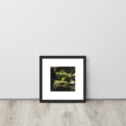 Plant on a Rock Art – Framed Matte Paper Poster, Black Frame, Lifestyle View