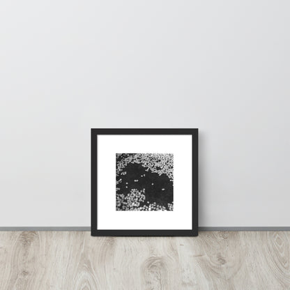 Cherry Blossoms (B&W) Art – Framed Matte Paper Poster, Black Frame, Lifestyle View