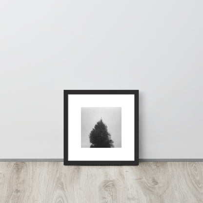 Fog and Trees (B&W) - Framed Matte Paper Poster, Black, Front View