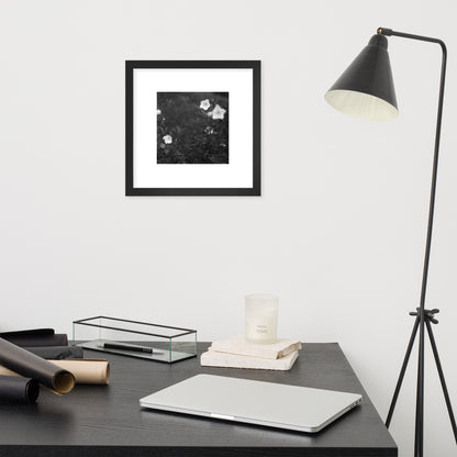 Balloon Flower (B&W) - Framed Matte Paper Poster, Black, Front View