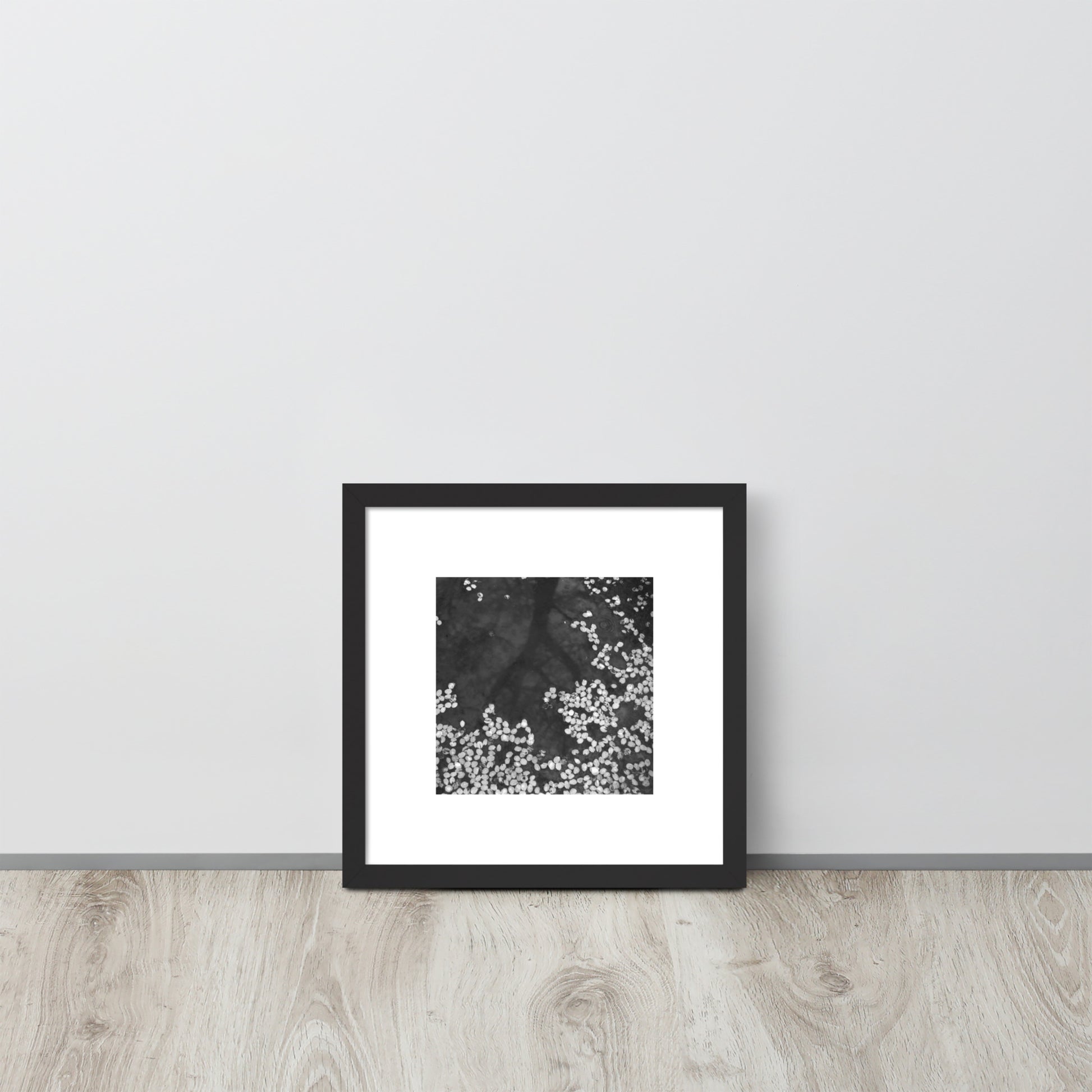 Cherry Blossom Petals on Water Surface (B&W) - Framed Matte Paper Poster, Black Frame, Front View