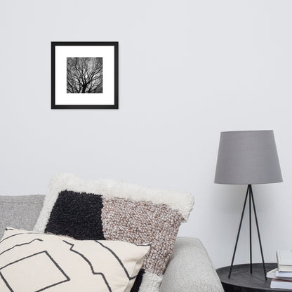Tree B and W Framed Matte Paper Poster Black