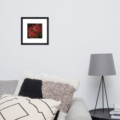 Red Spider Lily framed matte paper poster, black frame