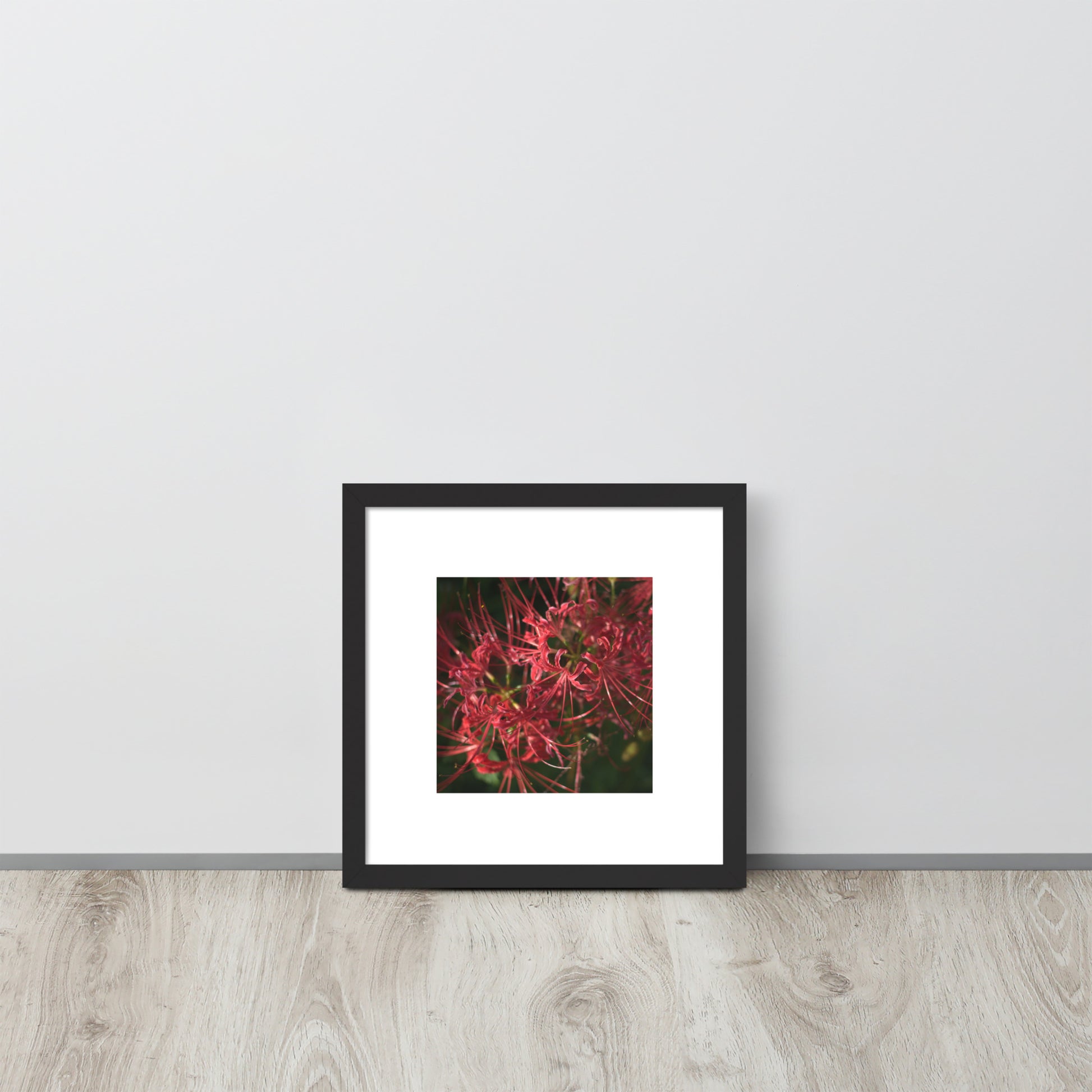 Red Spider Lily framed matte paper poster, black frame