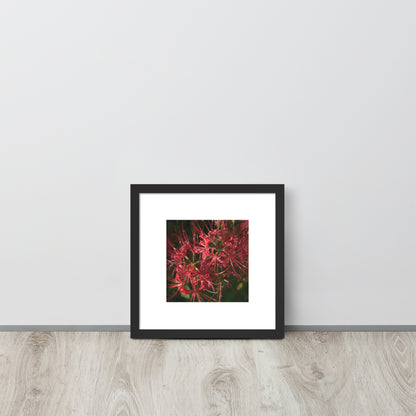 Red Spider Lily framed matte paper poster, black frame