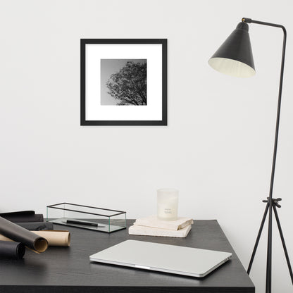 【Black】
Minimalist mode style framed matte paper poster with a 'Tree and Wind' black and white photo print and a black frame / モードストリート系ポスター、「木と風」のモノクロ写真プリント（アートプリント）