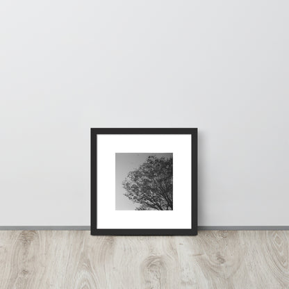 【Black】
Minimalist mode style framed matte paper poster with a 'Tree and Wind' black and white photo print and a black frame / モードストリート系ポスター、「木と風」のモノクロ写真プリント（アートプリント）