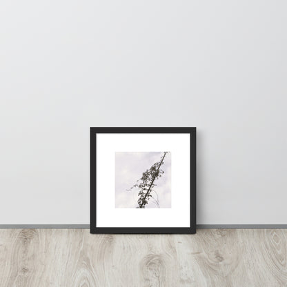 Minimalist mode style framed matte paper poster with a 'Vines Entangled on a Utility Pole' black and white photo print and a black frame / モードストリート系フレーム付きポスター（ブラックフレーム）、「電柱に絡まるツル」のモノクロ写真プリント（壁掛けアート）