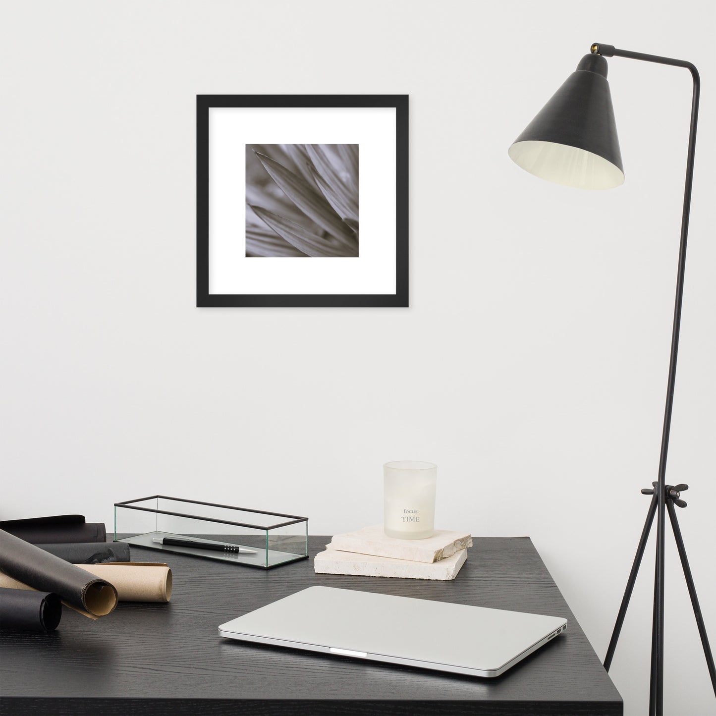 Minimalist style premium wall art featuring a black and white photograph of a Yucca plant, displayed in a sleek matte black frame. A sophisticated piece of botanical home decor, perfect for modern interior design. / モードストリート系インテリアに最適なユッカ植物のモノクロ写真アートポスター。マットブラックフレーム付きのミニマリスト・デザイン。