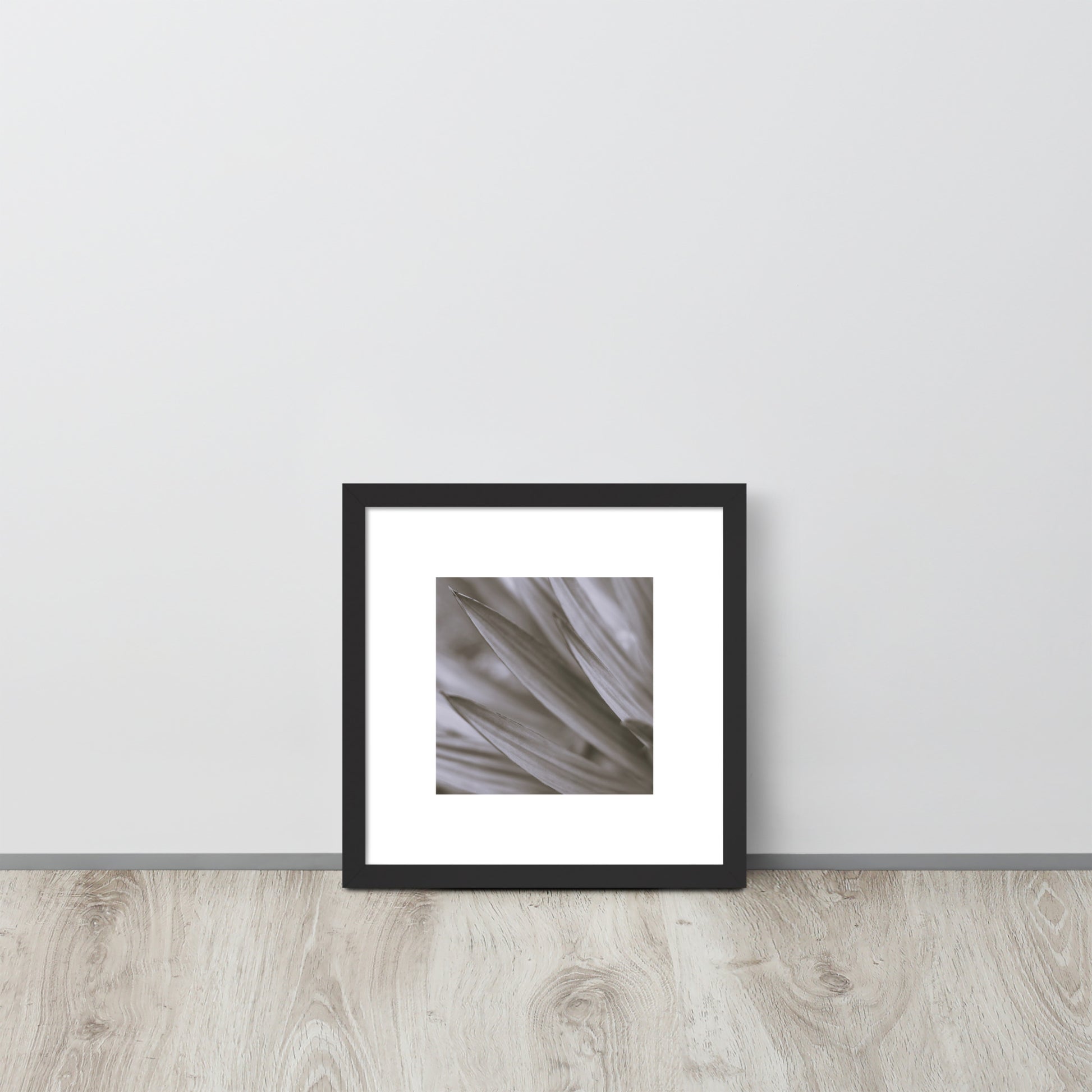 Minimalist style premium wall art featuring a black and white photograph of a Yucca plant, displayed in a sleek matte black frame. A sophisticated piece of botanical home decor, perfect for modern interior design. / モードストリート系インテリアに最適なユッカ植物のモノクロ写真アートポスター。マットブラックフレーム付きのミニマリスト・デザイン。