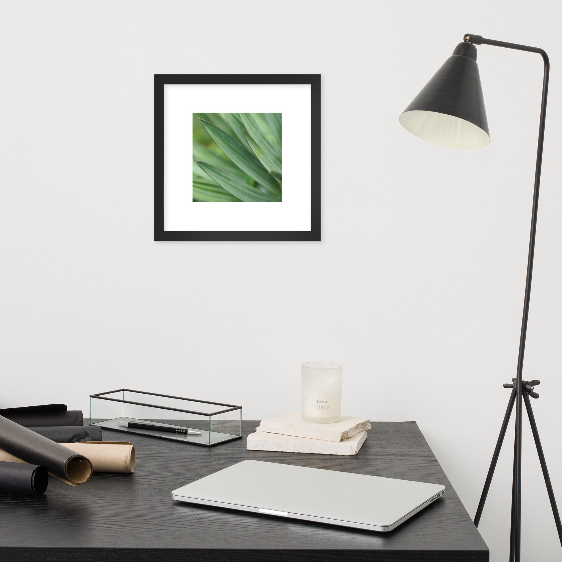 Minimalist streetwear style framed wall art in matte black, featuring a Yucca plant color photograph. Sleek, modern botanical decor for sophisticated living spaces. / モードストリート系・マットブラックフレーム入りユッカ植物のアートポスター。洗練された都会的なインテリアに最適なミニマリスト・デザイン。