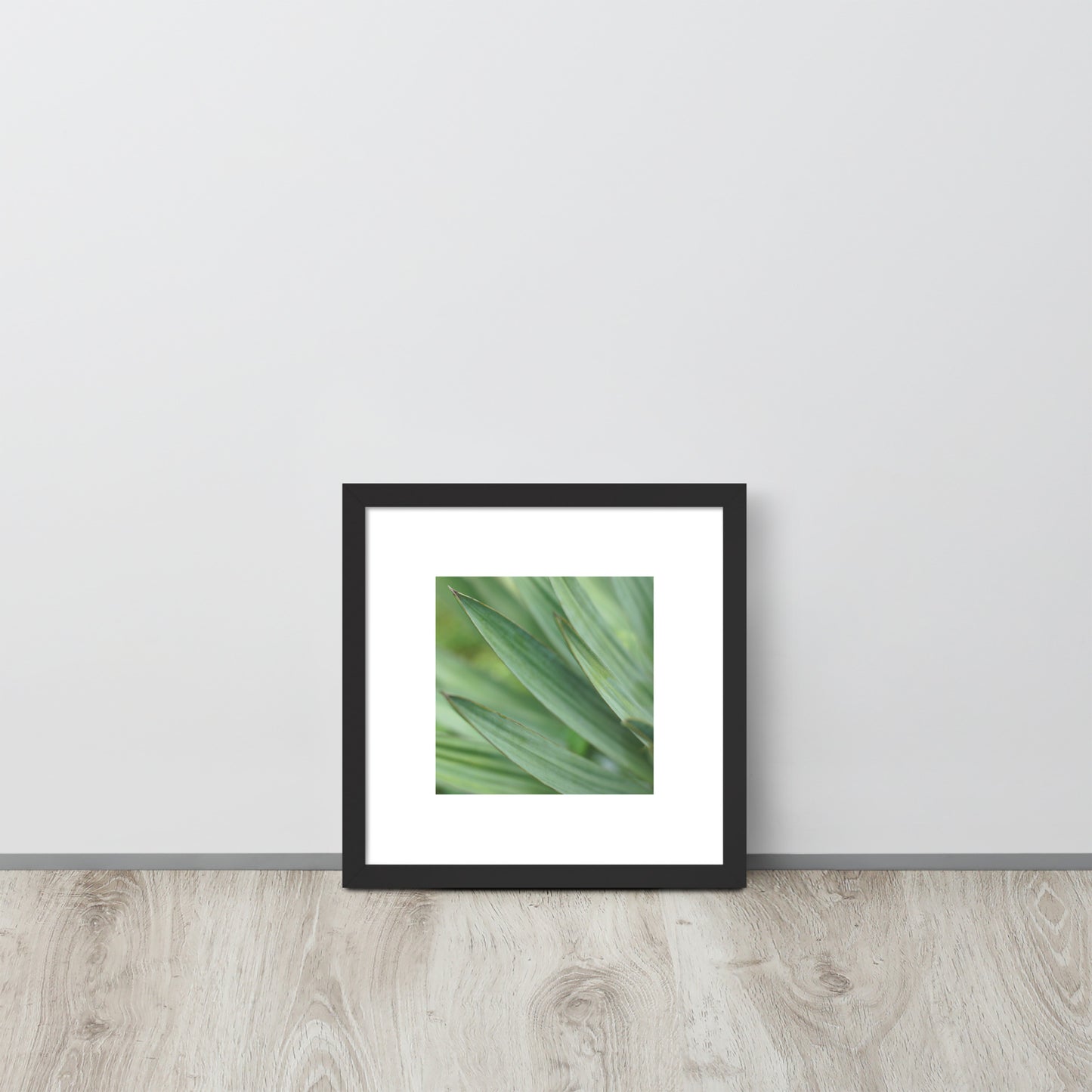 Minimalist streetwear style framed wall art in matte black, featuring a Yucca plant color photograph. Sleek, modern botanical decor for sophisticated living spaces. / モードストリート系・マットブラックフレーム入りユッカ植物のアートポスター。洗練された都会的なインテリアに最適なミニマリスト・デザイン。