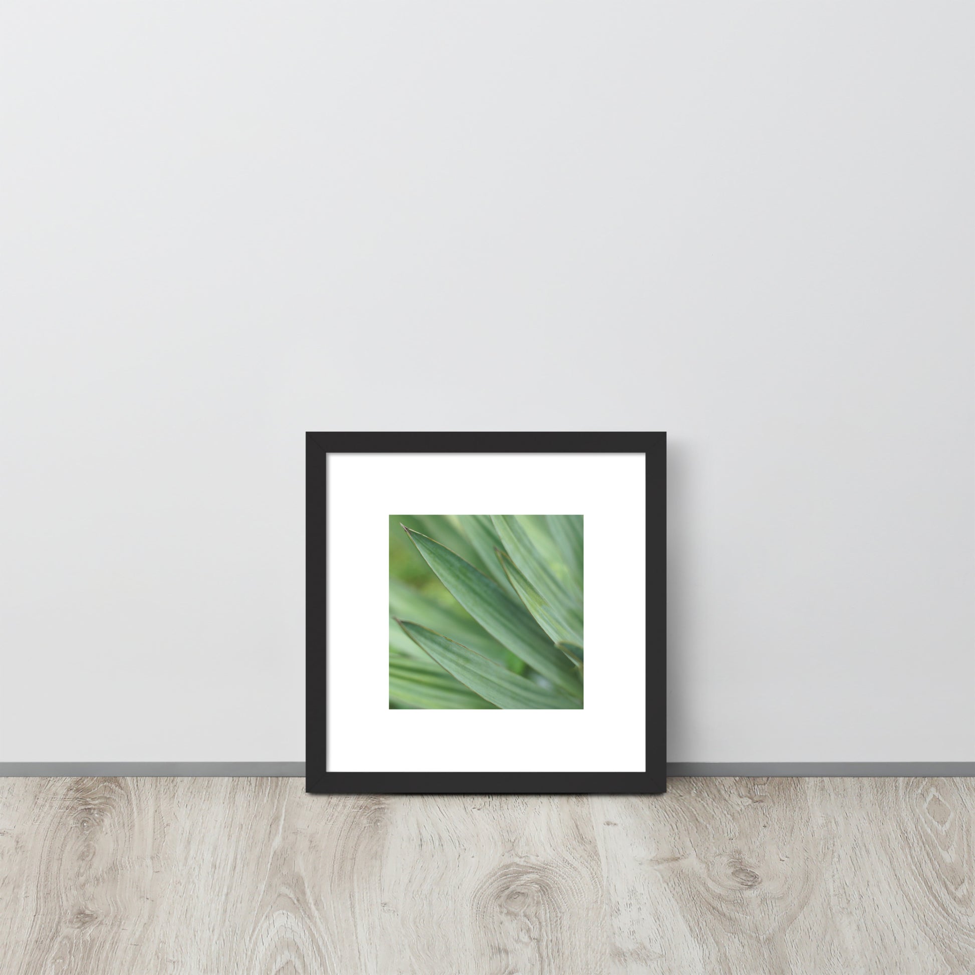 Minimalist streetwear style framed wall art in matte black, featuring a Yucca plant color photograph. Sleek, modern botanical decor for sophisticated living spaces. / モードストリート系・マットブラックフレーム入りユッカ植物のアートポスター。洗練された都会的なインテリアに最適なミニマリスト・デザイン。