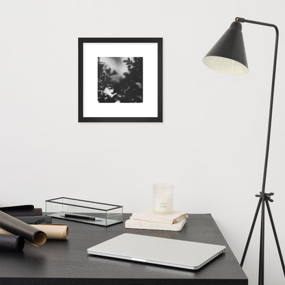 Minimalist streetwear style framed wall art in matte black, featuring a 'Tree Branches' B&W photograph. / Tree Branches（木の枝）B&W 額装ポスター（ブラックフレーム）：モノクロの枝が際立つ、モードストリート系ミニマリスト・インテリアアート。