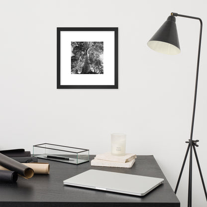 Minimalist streetwear style framed matte paper poster in black frame featuring the 'Eucalyptus Tree (B&W)' photo art. / モードストリート系フレーム付きマットペーパーポスター（ブラックフレーム）：「ユーカリの木（モノクロ）」のフォトアートを配したデザイン。