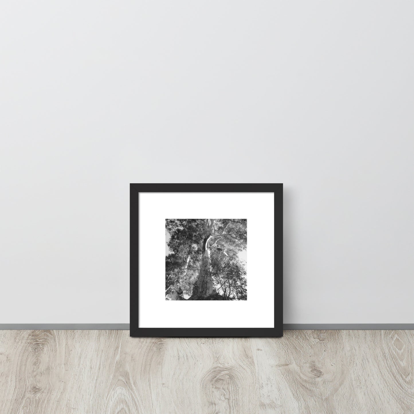 Minimalist streetwear style framed matte paper poster in black frame featuring the 'Eucalyptus Tree (B&W)' photo art. / モードストリート系フレーム付きマットペーパーポスター（ブラックフレーム）：「ユーカリの木（モノクロ）」のフォトアートを配したデザイン。
