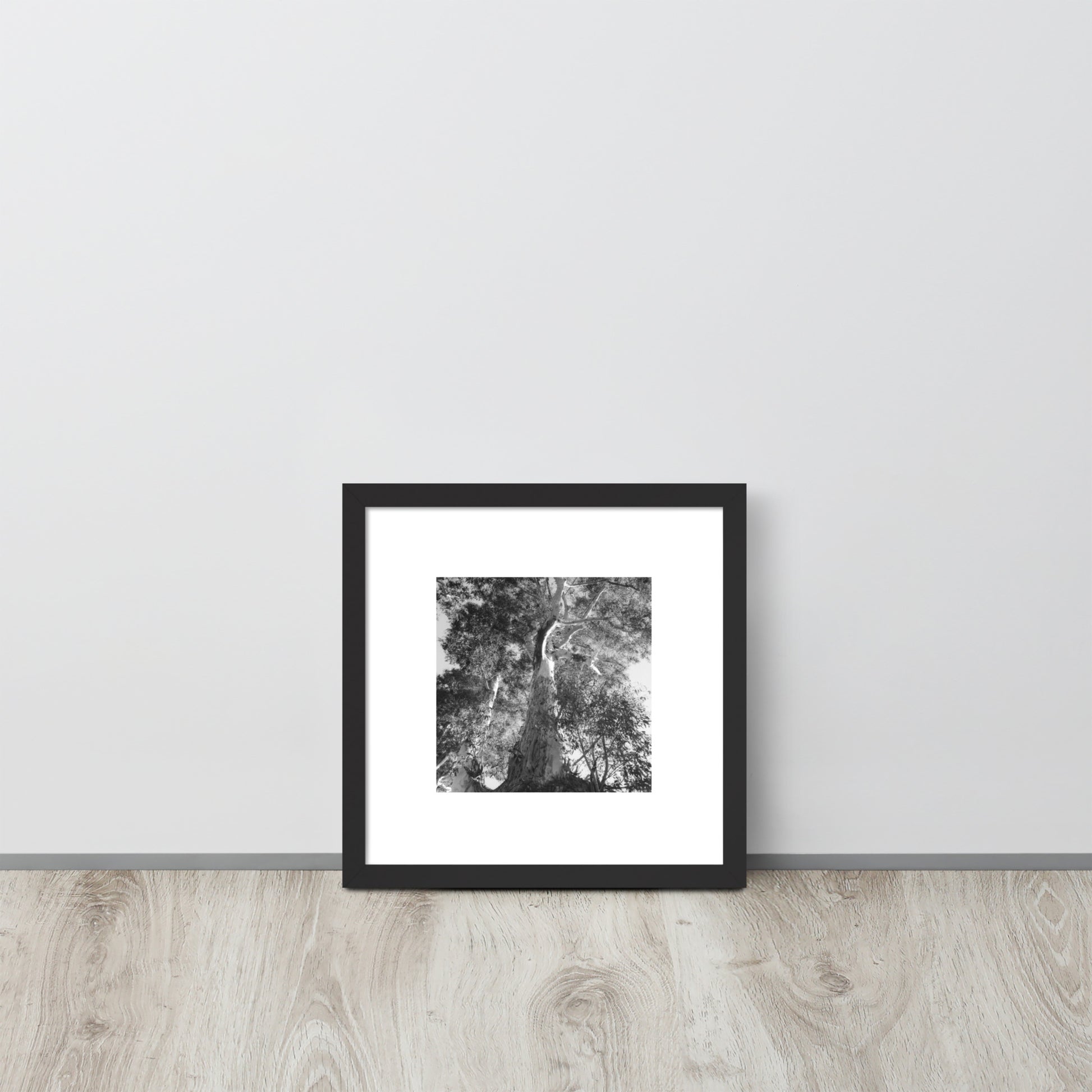 Minimalist streetwear style framed matte paper poster in black frame featuring the 'Eucalyptus Tree (B&W)' photo art. / モードストリート系フレーム付きマットペーパーポスター（ブラックフレーム）：「ユーカリの木（モノクロ）」のフォトアートを配したデザイン。
