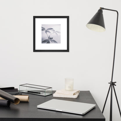Minimalist art framed matte paper poster in black frame featuring the 'Botanical (B&W)' photo art. / フレーム付きマットペーパーポスター（ブラックフレーム）：「ボタニカル (モノクロ)」のフォトアートを配したミニマリストデザイン。