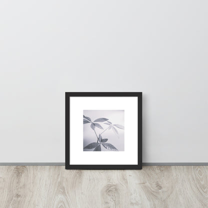 Minimalist art framed matte paper poster in black frame featuring the 'Botanical (B&W)' photo art. / フレーム付きマットペーパーポスター（ブラックフレーム）：「ボタニカル (モノクロ)」のフォトアートを配したミニマリストデザイン。