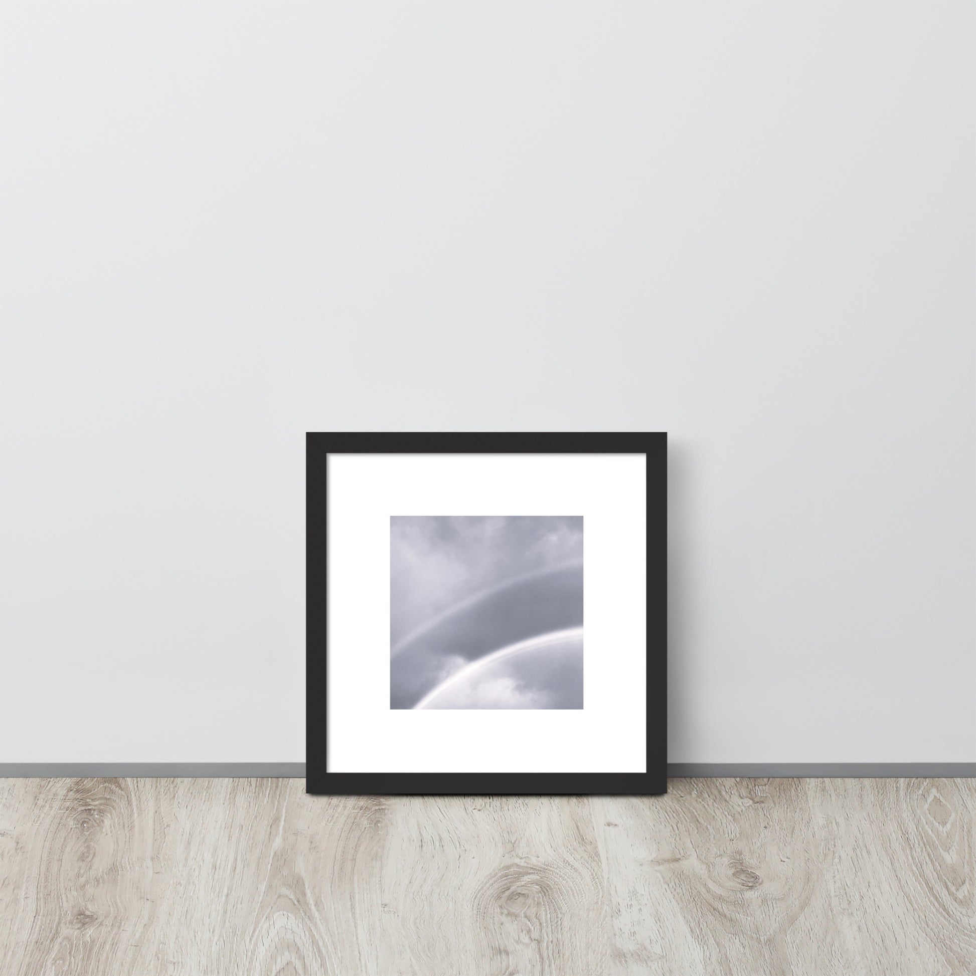 Double Rainbow Botanical B&W Art – Framed Matte Paper Poster, Black Frame, Front View