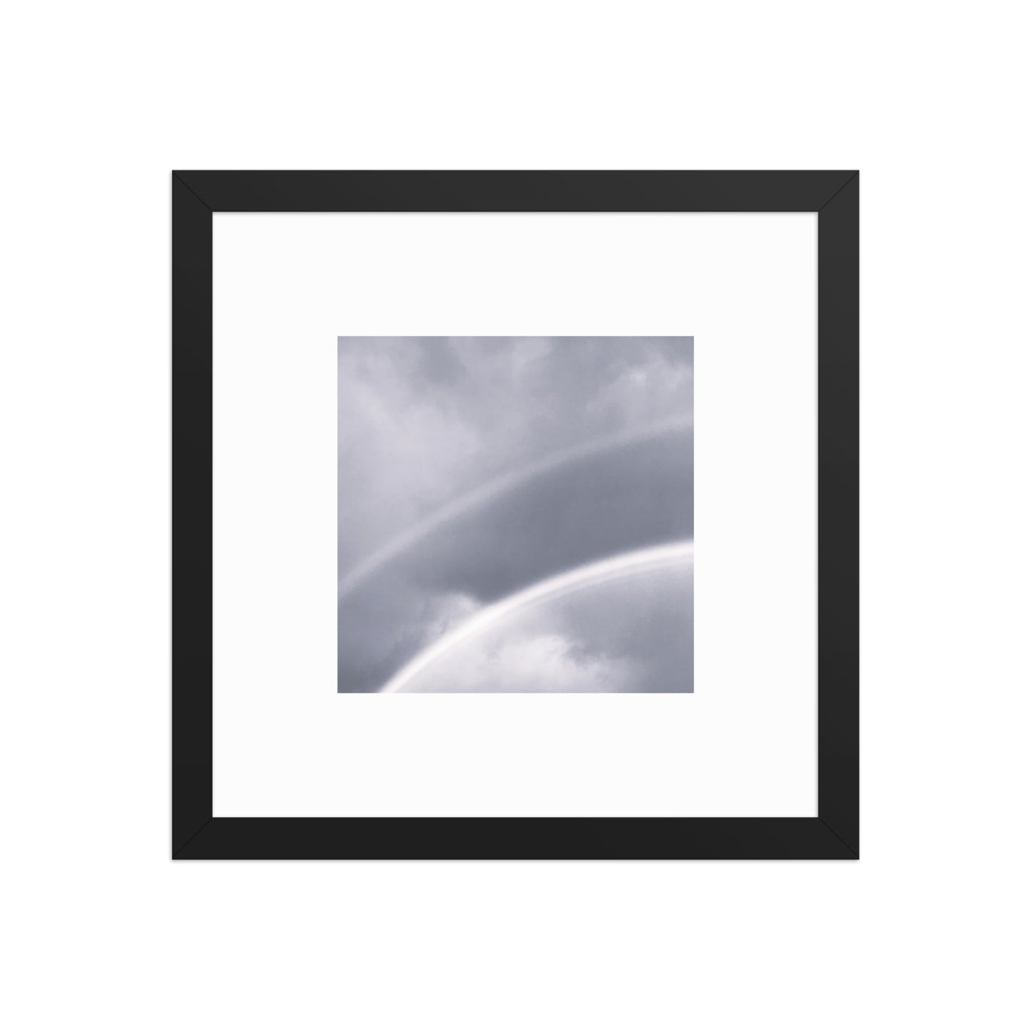 Double Rainbow Botanical B&W Art – Framed Matte Paper Poster, Black Frame, Front View