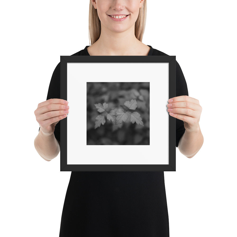 【Black Frame】
Minimalist mode style framed matte paper poster with a 'plants' black and white botanical art print and a black frame / モードストリート系フレーム付きポスター（ブラックフレーム）、「植物」のモノクロアートプリント（インテリアポスター）
