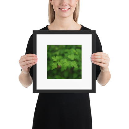 【Black Frame】
Minimalist mode style framed matte paper poster with a 'plants' botanical art print and a black frame / モードストリート系フレーム付きポスター（ブラックフレーム）、「植物」のアートプリント（壁掛けアート）