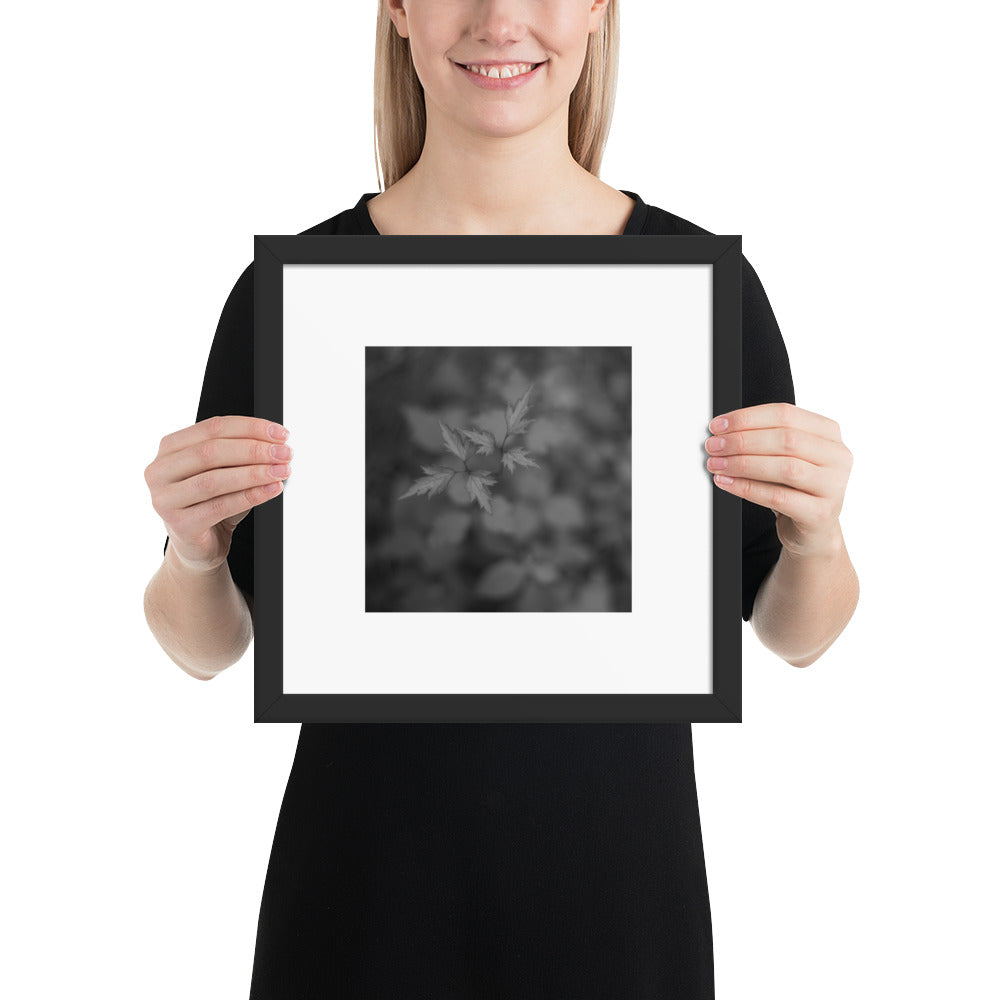 Botanical Plant B&W Art – Framed Matte Poster, Black Frame, Lifestyle View
