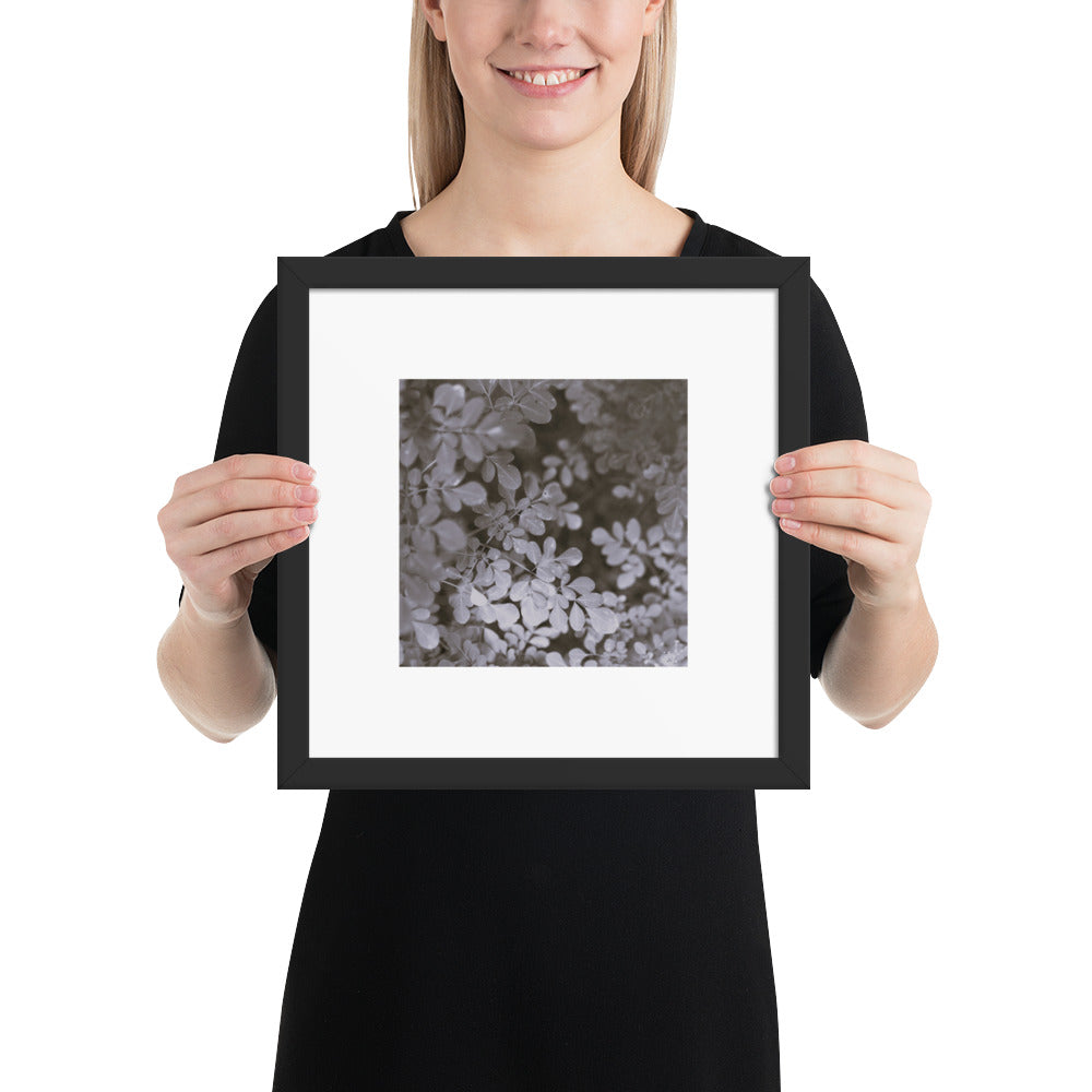 Matsukazesou Botanical B&W Art – Framed Matte Paper Poster, Black Frame, Front View