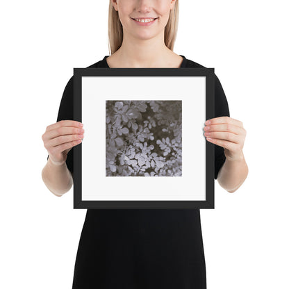 Matsukazesou Botanical B&W Art – Framed Matte Paper Poster, Black Frame, Front View