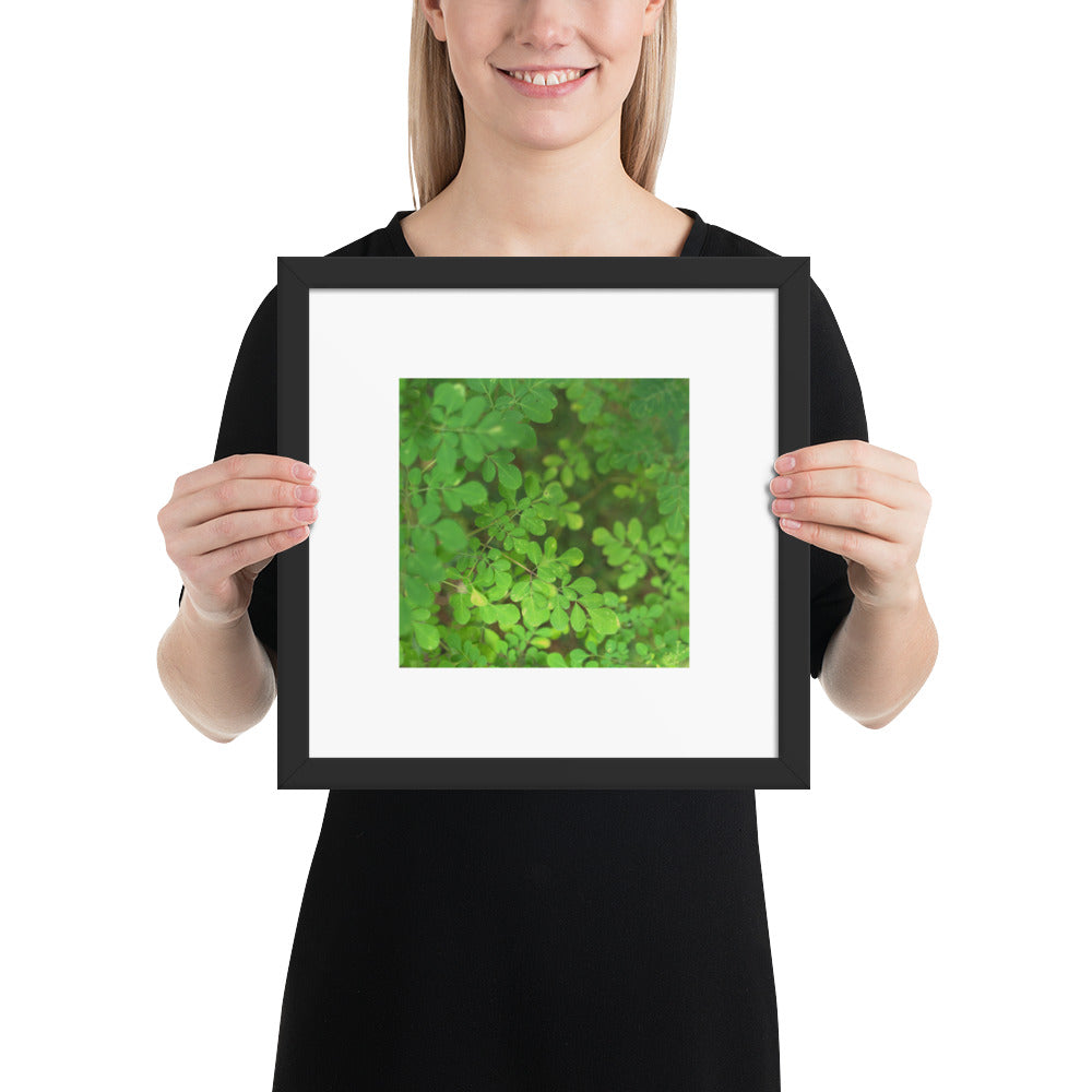 Matsukazesou Botanical Art – Framed Matte Paper Poster, Black Frame, Front View