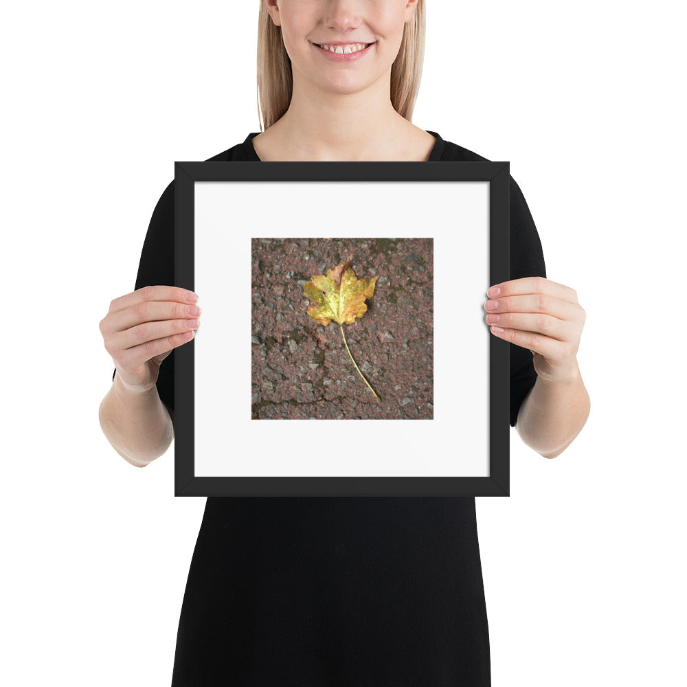 Maple Leaf Botanical Art – Framed Matte Paper Poster, Black Frame, Front View