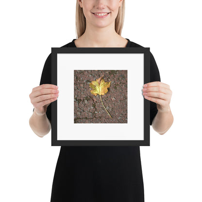 Maple Leaf Botanical Art – Framed Matte Paper Poster, Black Frame, Front View