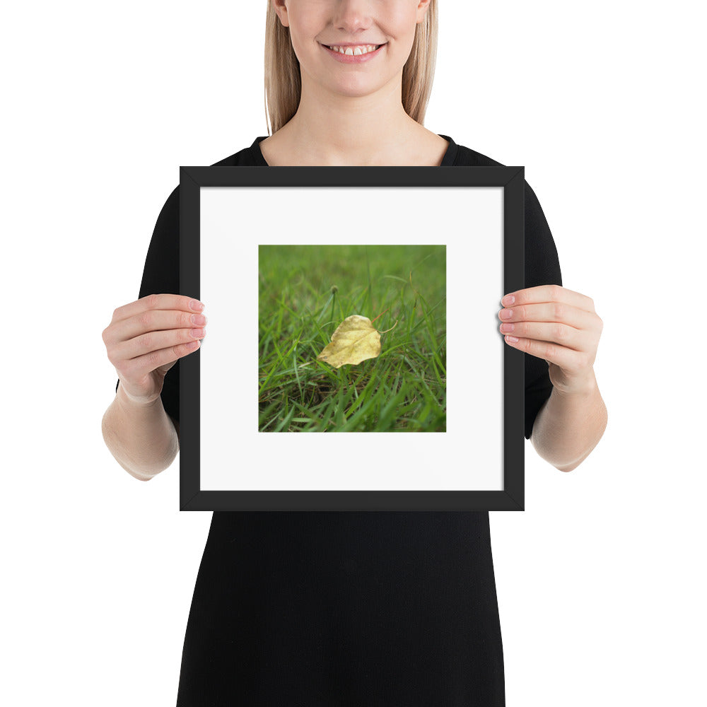 Yellow Fallen Leaf Botanical Art – Framed Matte Paper Poster, Black Frame, Front View