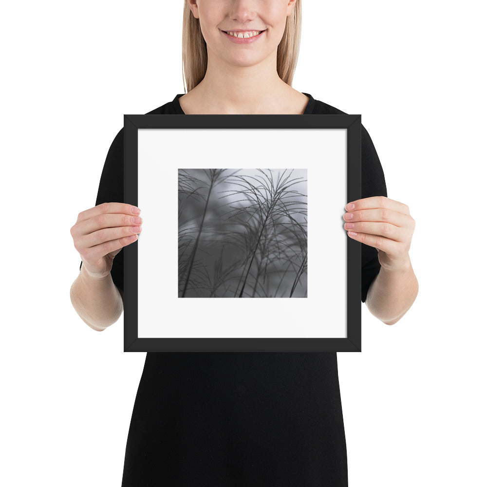 Silver Grass Cluster Botanical B&W Art – Framed Matte Paper Poster, Black Frame, Front View