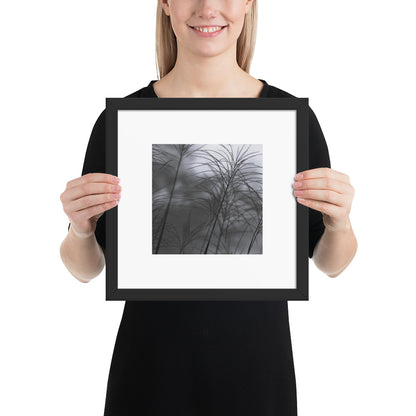 Silver Grass Cluster Botanical B&W Art – Framed Matte Paper Poster, Black Frame, Front View