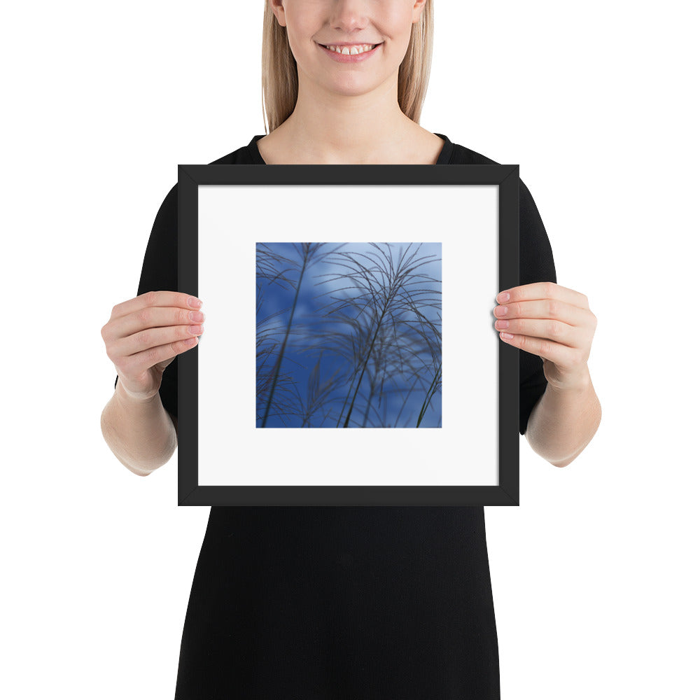Silver Grass Cluster Botanical Art – Framed Matte Paper Poster, Black Frame, Front View