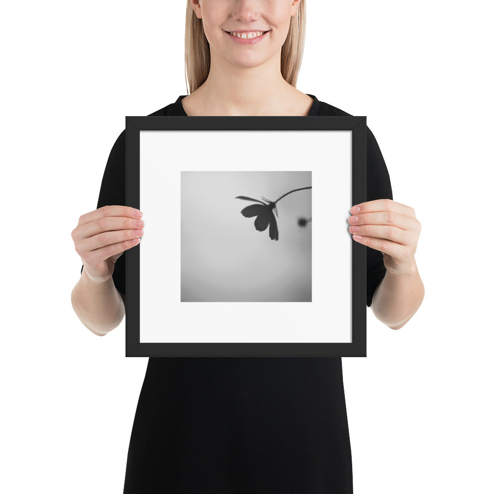 Cosmos Flower Botanical B&W Art – Framed Matte Paper Poster, Black Frame, Front View