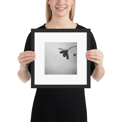 Cosmos Flower Botanical B&W Art – Framed Matte Paper Poster, Black Frame, Front View