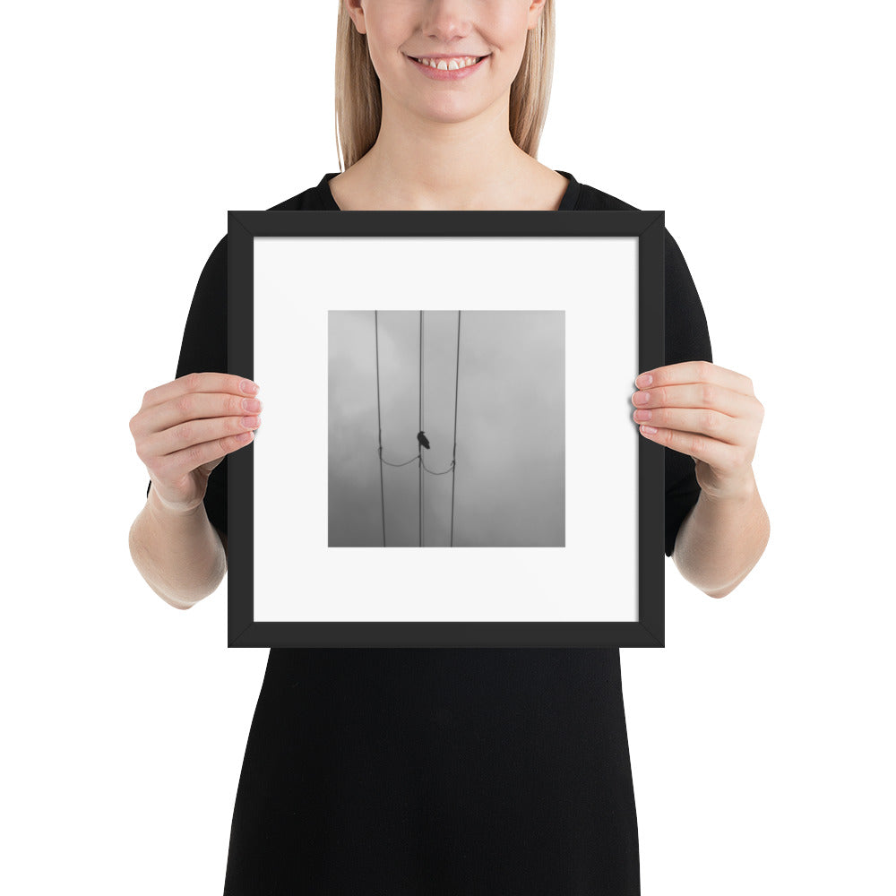 Crow and Power Lines B&W Art – Framed Matte Paper Poster, Black Frame, Front View