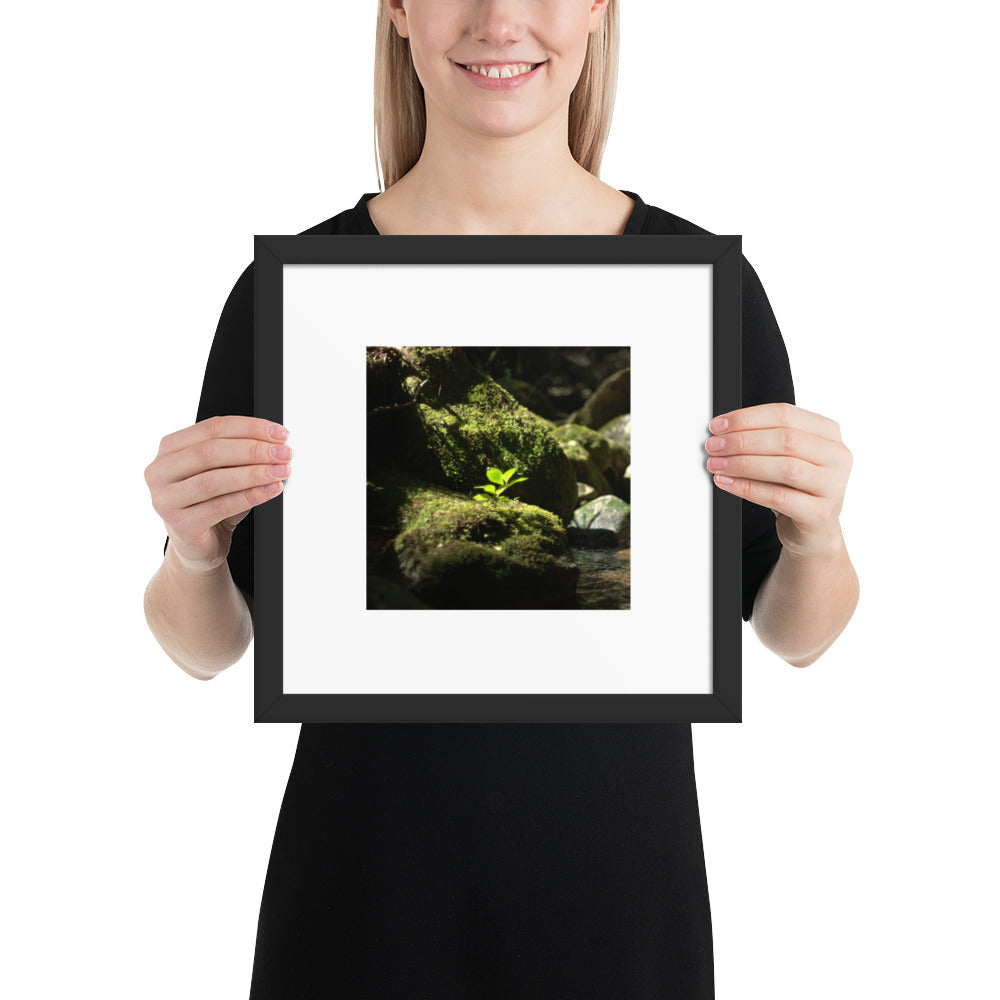 Plant on a Rock Art – Framed Matte Paper Poster, Black Frame, Lifestyle View